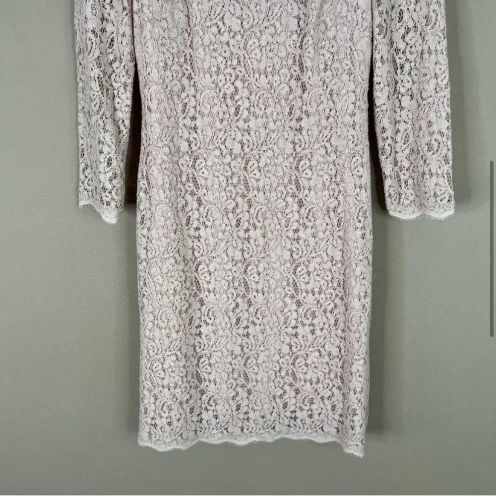 Adrianna Papell Evening Lace Dress with Exposed Back Zipper Pale Pink Size 6 - Picture 6 of 11